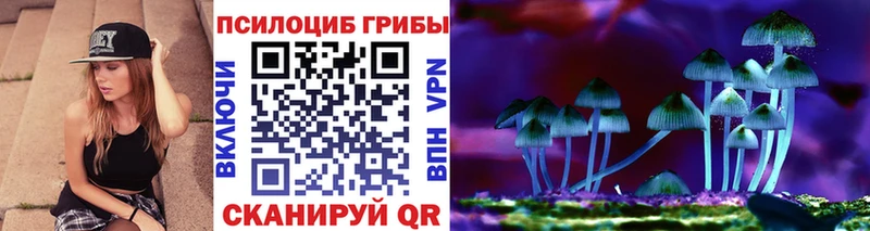 Галлюциногенные грибы Psilocybe  наркотики  Ковдор 